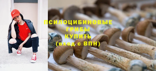 гидра Балахна