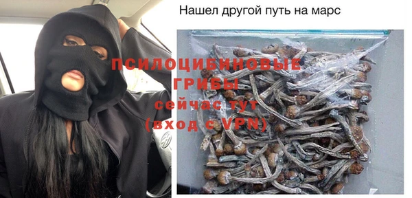 гидра Балахна