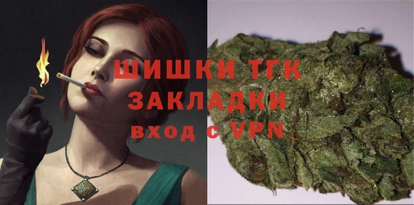 гидра Балахна